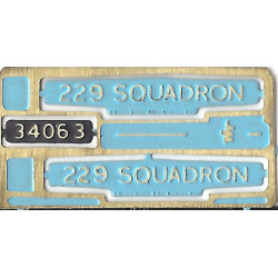 34063 229 Squadron
