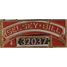 32037 Selsey Bill