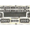 1004 County of Somerset