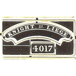 4017 Knight of Liege