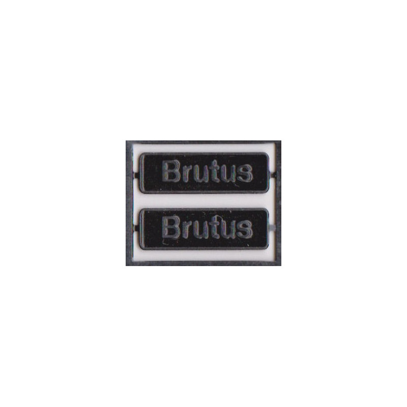 68019 Brutus