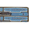 34079 141 Squadron