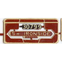 30799 Sir Ironside