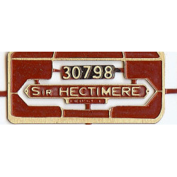 30798 Sir Hectimere