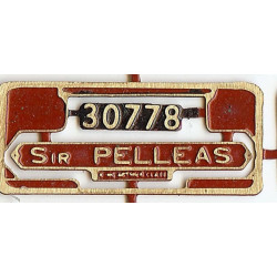 30778 Sir Pelleas
