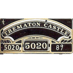 5020 Trematon Castle