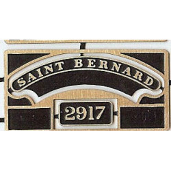 2917 Saint Bernard