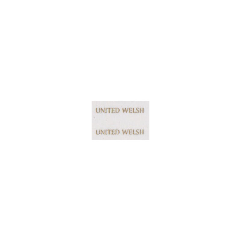 MB6064 UNITED WELSH gold block small (for front/rear)