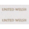MB6064 UNITED WELSH gold block small (for front/rear)