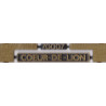 70007 Coeur de Lion